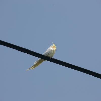 2008 05 30 