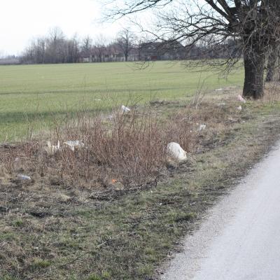 2010 03 02 1