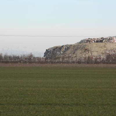 2010 03 02 4