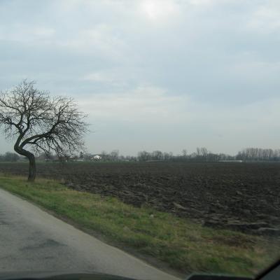 2002 11 26 